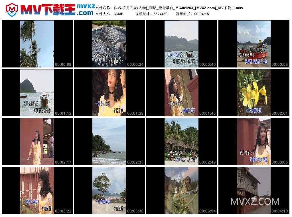 佚名-岁月飞花(人物)_国语_流行歌曲_MC301263
